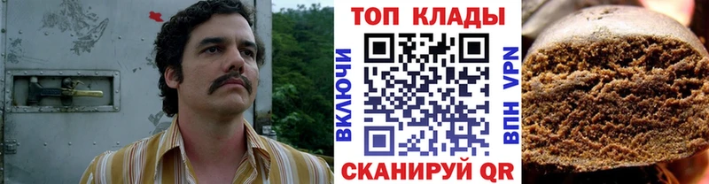 Купить закладку Каннабис COCAIN Псилоцибиновые грибы СК Мефедрон Гашиш Светлогорск