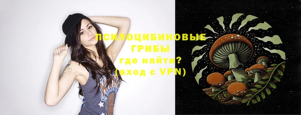 не бодяженный Верхний Тагил