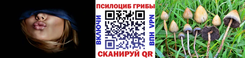 Купить где  Светлогорск  Галлюциногенные грибы MAGIC MUSHROOMS 